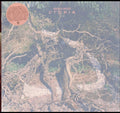 Bremer; Mccoy - Utopia (DL Card) (Vinyl) (US Import)