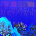 Leenalchi - Sugungga (CD) (US Import)