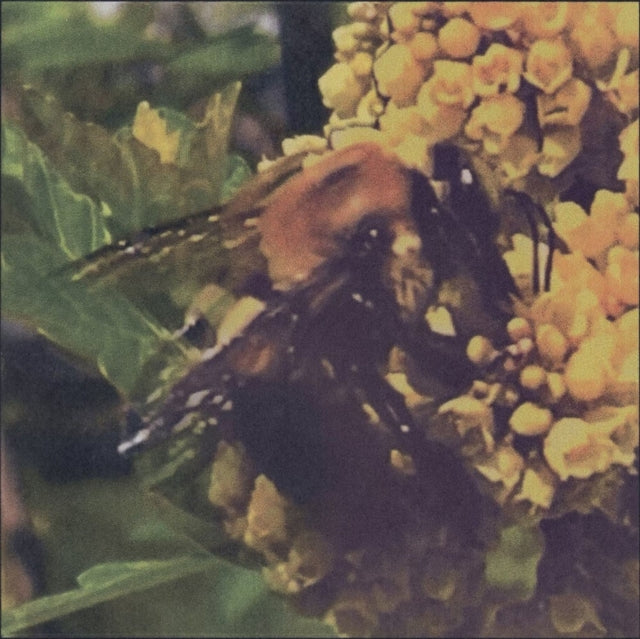 Broncho - Natural Pleasure (Vinyl) (US Import)