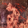 Kite - Don't Take The Light Away / Remember Me (Transparent Clear 7 Inch) (Vinyl Single) (US Import)