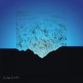 Miguel Mendez - Sleep Disaster (Vinyl) (US Import)