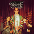 Andrew Cashen - Cosmic Silence (Vinyl) (US Import)