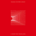 Magnus Ostrom Group - Room For Travellers (Import) (Vinyl) (US Import)