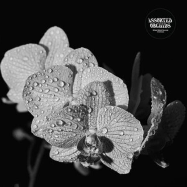 Assorted Orchids - Assorted Orchids (Gatefold/White Vinyl) (Vinyl) (US Import)