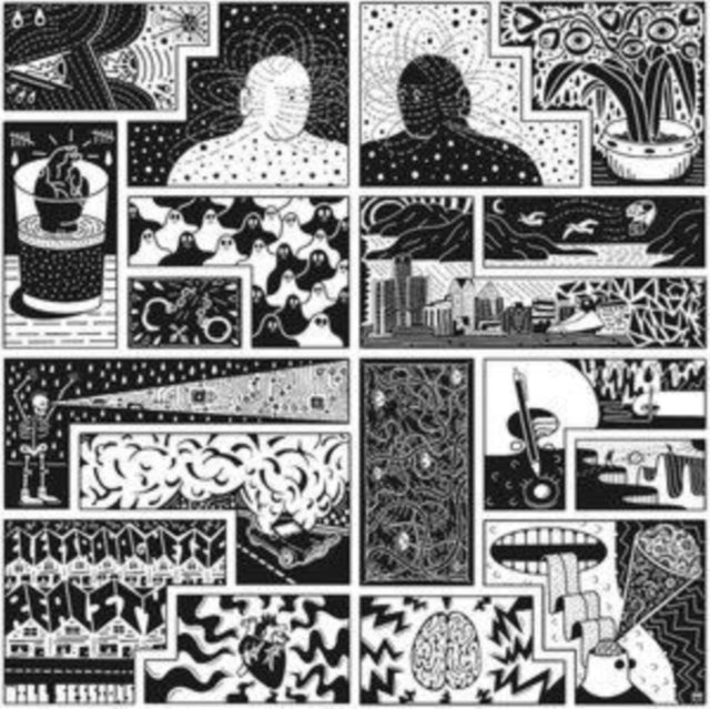 Will Sessions - Electromagnetic Reality (Vinyl) (US Import)