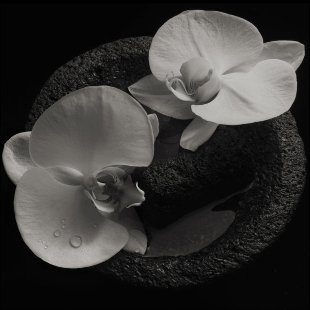 Patton,Mike; Jean-Claude Vannier - Corpse Flower (Vinyl) (US Import)