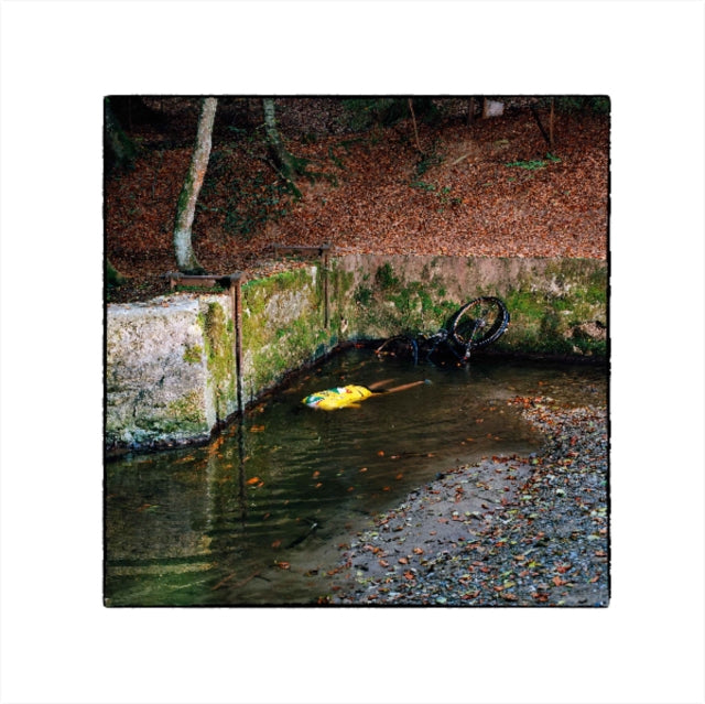 Franck Vigroux - Totem (Vinyl) (US Import)