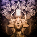 Mr. Bison - Echoes From The Universe (Vinyl) (US Import)