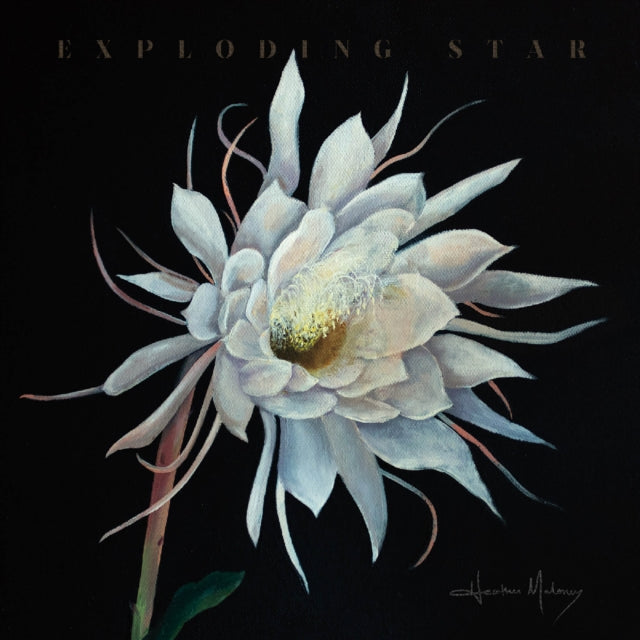 Heather Maloney - Exploding Star (Vinyl) (US Import)