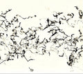 John Zorn - There Is No More Firmament (CD)