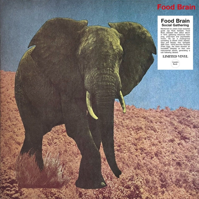 Food Brain - Social Gathering (Vinyl) (US Import)