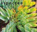 Aspectee - Morben (CD)