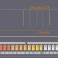 Section 25 - Retrofit (Vinyl) (US Import)