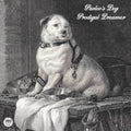 Pavlovs Dog - Prodigal Dreamer (Vinyl) (US Import)