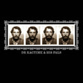 Jack Rose - Dr. Ragtime & His Pals (140g/DL Card) (Vinyl) (US Import)