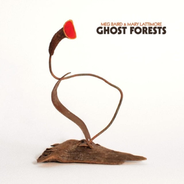 Baird,Meg & Mary Lattimore - Ghost Forests (Green Vinyl/DL Card) (Vinyl) (US Import)