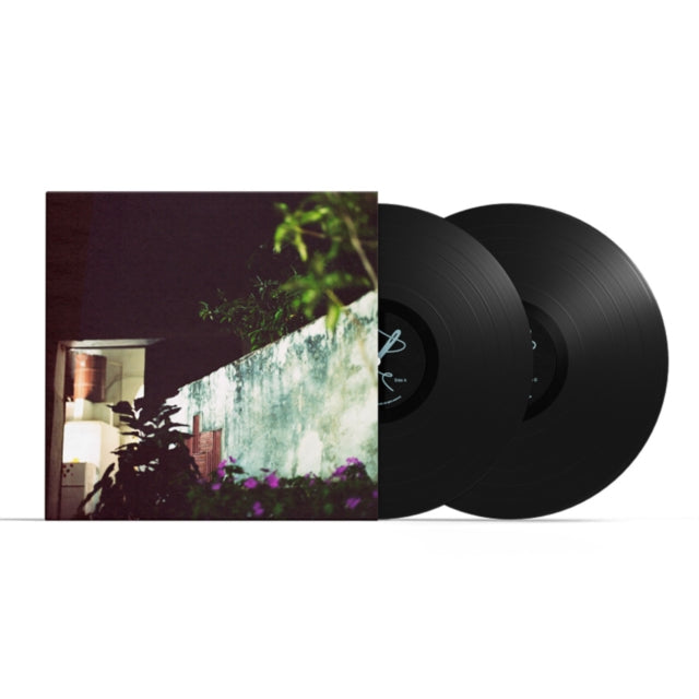 Anthony Wilson Nonet - House Of The Singing Blossoms (2LP/180g) (Vinyl) (US Import)