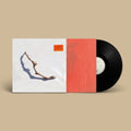 Pj Harvey - I Inside The Old Year Dying (Vinyl) (US Import)