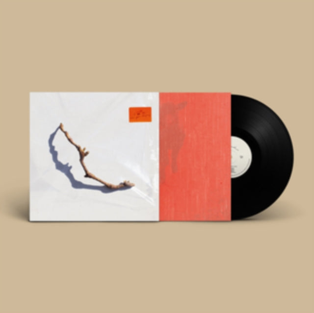Pj Harvey - I Inside The Old Year Dying (Vinyl) (US Import)
