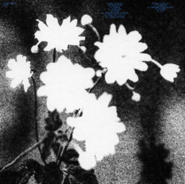 Loma Prieta - Last (Black/White Cornetto Vinyl) (I) (Vinyl) (US Import)