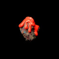 Rubber Oh - Soil (Red Splatter Vinyl) (Vinyl) (US Import)