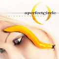 Perfect Circle - Thirteenth Step (CD)