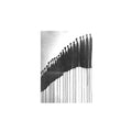 Jeromes Dream - Gray In Between (Vinyl) (US Import)
