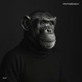 Felsmann + Tiley - Protomensch (Vinyl) (US Import)
