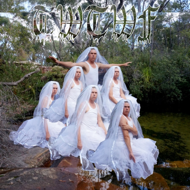 Liars - Titles With The Word Fountain (TFCF Deluxe Edition) (Vinyl) (US Import)