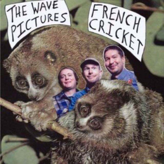 Wave Pictures - French Cricket (2X7Inch) (Vinyl Single) (US Import)