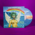 Sufjan Stevens & Angelo De Augustine - Beginner's Mind (CD)