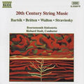 Various Artists - 20th Century String Music (CD)