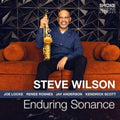 Steve Wilson - Enduring Sonance (Vinyl) (US Import)