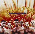 Rammstein - Herzeleid (CD)