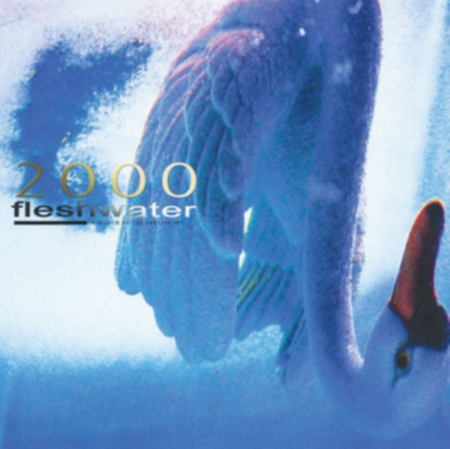Fleshwater - 2000: In Search Of The Endless Sky (CD)