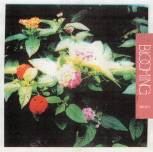 Amulets - Blooming (Vinyl) (US Import)