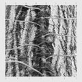 Scarcity - Aveilut (Vinyl) (US Import)
