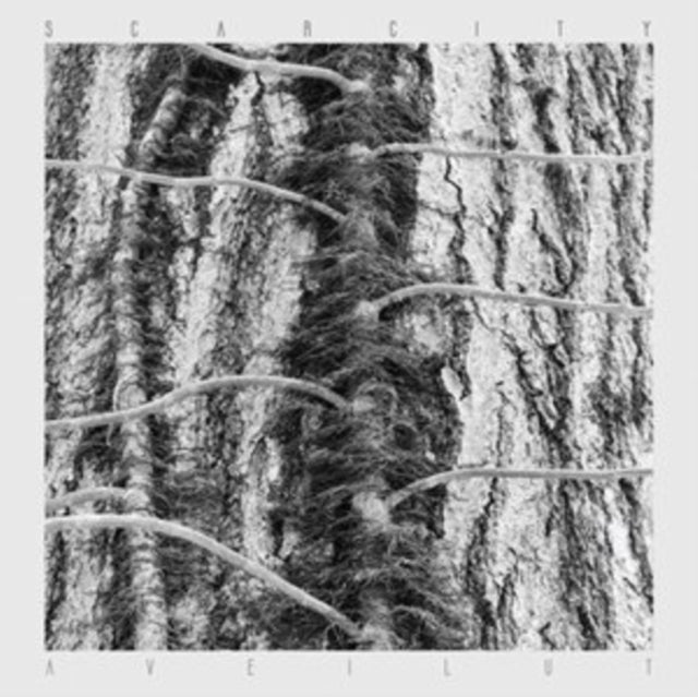 Scarcity - Aveilut (Vinyl) (US Import)