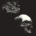 Osees - Foul Form (Vinyl) (US Import)