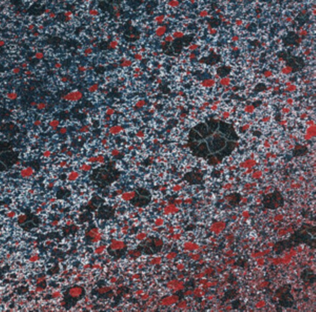 Leitmotiv Limbo - Superior State (Vinyl) (US Import)
