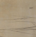 Benaud Trio - Empyrean Traces (Vinyl) (US Import)