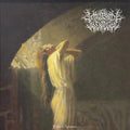 Mosaic Window - Plight Of Acceptance (Random Color Vinyl) (Vinyl) (US Import)
