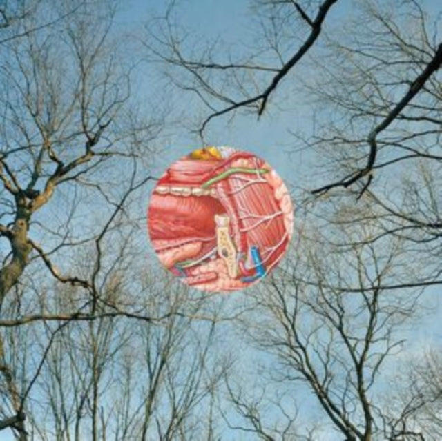 They Might Be Giants - Glean (Clear W/ Red Whisps Vinyl) (Vinyl) (US Import)