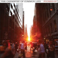 Fucked Up - Chemistry Of Common Life (Clear Orange Vinyl/2LP) (Vinyl) (US Import)