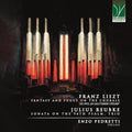 Enzo Pedretti - Franz Liszt,Julius Reubke: 19th Organ Works (CD)