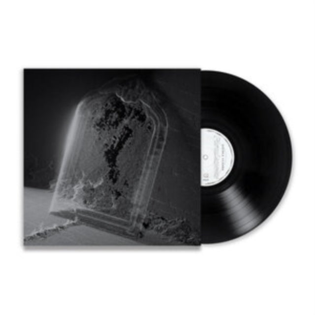 Visible Cloaks - Paradessence (Vinyl) (US Import)