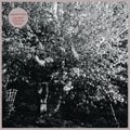 Papercuts - Parallel Universe Blues (Vinyl) (US Import)