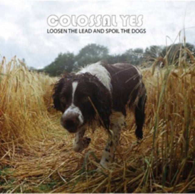 Colossal Yes - Loosen The Lead & Spoil The Dogs (Vinyl) (US Import)