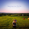Mary Chapin Carpenter - Sometimes Just The Sky (Vinyl) (US Import)