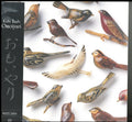 Kishi Bashi - Omoiyari (White Vinyl) (Vinyl) (US Import)